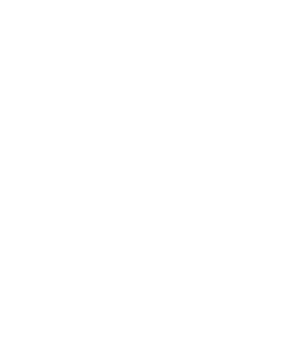 Parti¢ulari